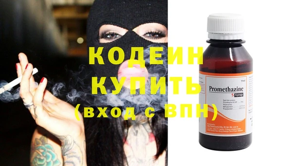 амф Бородино