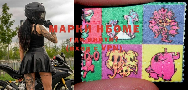 ПСИЛОЦИБИНОВЫЕ ГРИБЫ Верея