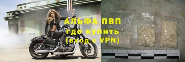 ПСИЛОЦИБИНОВЫЕ ГРИБЫ Верея