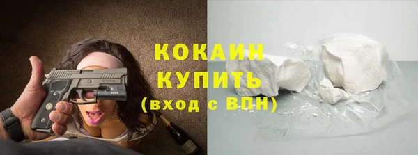ПСИЛОЦИБИНОВЫЕ ГРИБЫ Верея