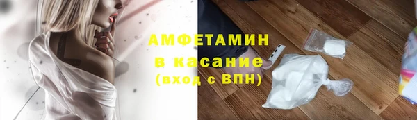амф Бородино