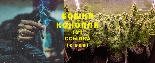 стафф Верхний Тагил