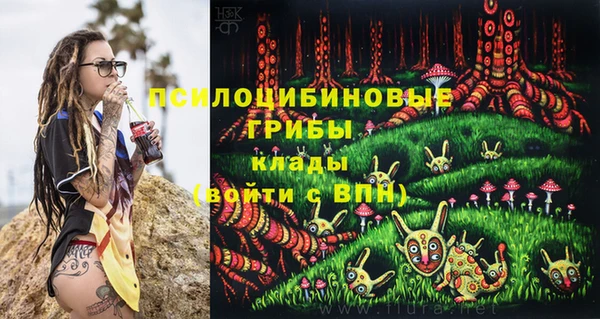 тгк Бронницы